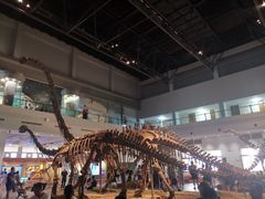 -自贡恐龙博物馆