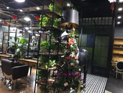 -UPTOP鼎上造型