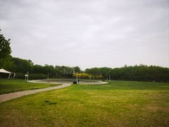 -泰丰公园