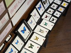 -三联韬奋书店(三里屯店)