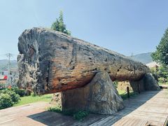 -国家植物园南园