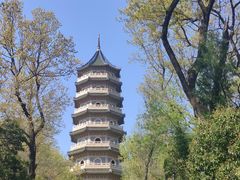 -灵谷景区