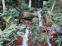 -莫干山风景区