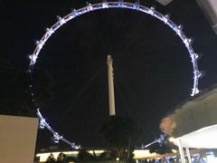 -新加坡摩天观景轮