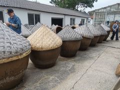 -苏州市吴中区光福窑上花果蜜饯厂