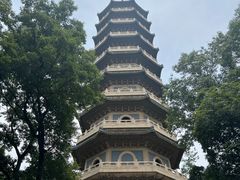 -灵谷景区