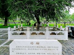 -西海子公园