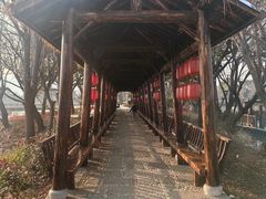 -长兴太湖图影湿地文化园