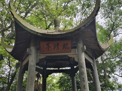 -江心屿景区
