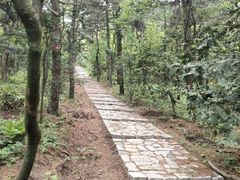 -四明山国家森林公园
