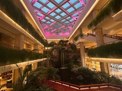 -广州白天鹅宾馆