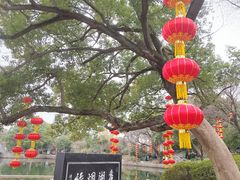 -无锡蠡湖国家湿地公园-蠡园
