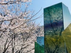 -龙美术馆西岸馆-停车场