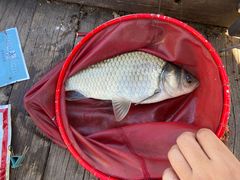 -酷鱼垂钓CLUB(朝阳区博大路店 )