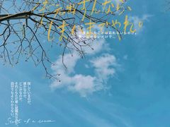 -顾村公园