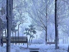 -滨州铁路桥