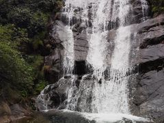 -大奇山国家森林公园