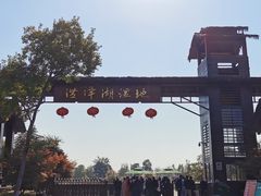 -泗洪洪泽湖湿地景区