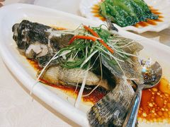 -桃园盛宴·岭南粤菜·手工茶点(南庄店)