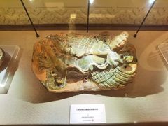 -呼和浩特博物馆
