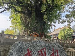 -大槐树寻根祭祖园