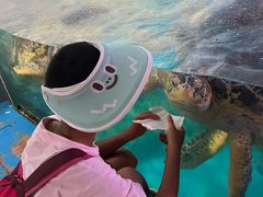 -烟台海昌鲸鲨海洋公园