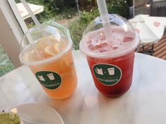 -有猫主题·治愈系猫咖(曾厝垵店)