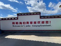-纳帕海依拉草原
