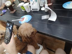 -813芭依珊 BAESAn(皇冠十畝地店)