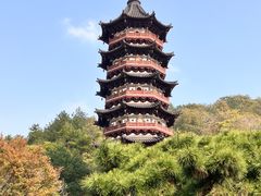 -牛首山文化旅游区