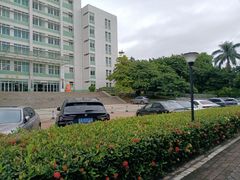 停车位-广东中医药博物馆