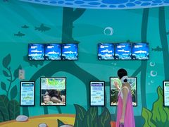 -海合安成都极地海洋公园