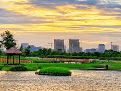 -春花秋色城市公园