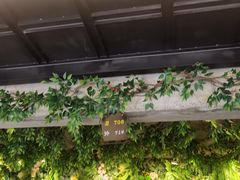 -京北渔家傲