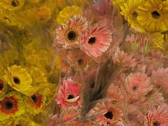 -循礼门鲜花花市(武汉循礼门店)