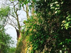 -幕燕滨江·长江观音景区