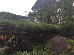 -中村藤吉(本店)