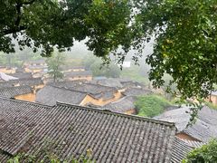 -杨家堂村