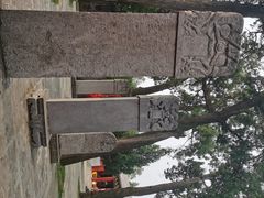 -关林