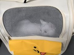 -半岛宠物医院24小时(白果林店)