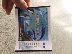 泉城海洋极地世界-泉城欧乐堡海洋极地世界