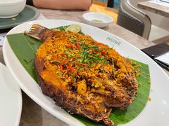 -美奈小馆·东南亚菜(福田星河COCO Park店)