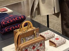 -COACH蔻驰(恒隆广场店)