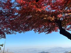 -莫干山风景区