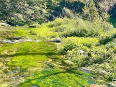 -玉渡山自然风景区