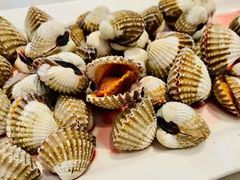 -华盛丰温州大排档(东三环南路店)