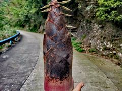 -宁波五龙潭景区