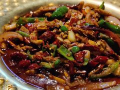 -天山醉美辣子鸡(文艺路店)