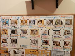 -滚猫咖啡·猫咖·猫友好撸猫(未来城店)