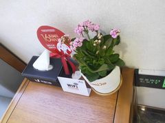 -优诺口腔·VIP尊享中心(爱建机构)